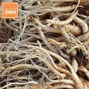 고씨네 농장 이미지