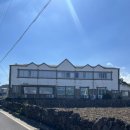 정글 게스트하우스 | 여자 혼자 제주 서쪽 여행, 내돈내산 숙소 추천 &#34;정글게스트하우스&#34;