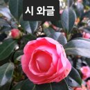 받아쓰기 / 이윤선 이미지