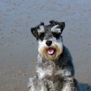 이아이앤테리어 이미지