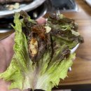 다하누 법흥점 이미지
