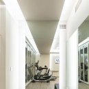 윌 피티 짐 이미지