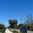 해몬드 | 퍼스일상! 집 8개 보러가서 찾은 우리집 , 퍼스에 생긴 첫 스타벅스