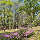 구석기체험숲1 | 먹으러 떠난 1박 2일, 구석기체험숲 캠핑장 먹방 총정리!