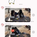 비바 라비다