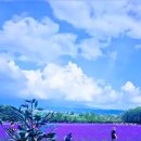 미우농장 이미지