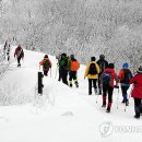 방한점퍼 두고 선자령 등반 ....노부부 사망 이미지