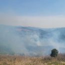 김삿갓면-8 이미지