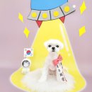 유로애견샵 이미지