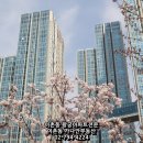 가나안물산