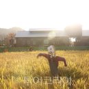 바다빌리지 관광펜션 이미지