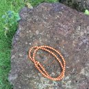 백제사 | 백제사 템플스테이 또 가고 싶다!!!!