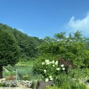 아이프스테이 이미지