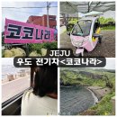 백사카서비스 | 제주도 우도 코코나라 전기차 렌트후기, 우도 한바퀴 여행 코스 추천