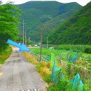 전원주택알림방공인중개사사무소 이미지