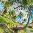 (주)국제여행사 이미지