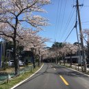 한라수목원 이미지