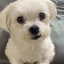 오감만족 이미지