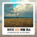 11545-04-06-89 | 제주도 애월 여행 코스, 근처 볼거리와 맛집, 숙소까지