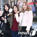 케이스텔라 이미지