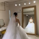 알렉스디자인 | 시즌알렉스 본식드레스 가봉 후기