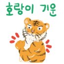 백프로 복싱체육관 이미지