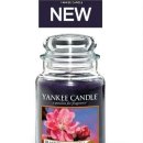 플럼블라썸(Plum Blossom) 이미지