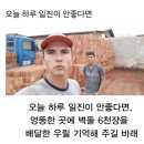 지코바치킨 사동점 | 험난하네요 😵