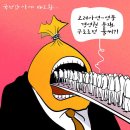 알티케이 이미지