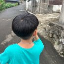 자라바위 펜션 | 얼굴경영학과는 뭐하는 곳일까