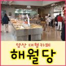 363카페 티스토리