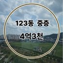 럭키아이파크캐슬공인중개사사무소 | 🌸병점역 아이파크캐슬 전세🌸