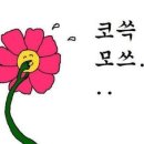 0117 야작실 요약 ＜이시되🕚＞ 이미지