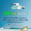 대서