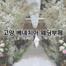 국수나무(화정점) | [경기 고양] 고양 베네치아 웨딩홀 하객방문 후기(뷔페,주차,ATM기기)