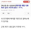 알엠카페 이미지