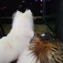 박서방회 네이버블로그