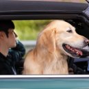 25시동물의료센터 이미지