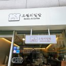 오월의 밀밭 이미지