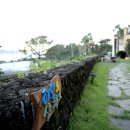 오렌지빌 이미지