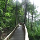 조병화농장 이미지