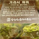 강천산 길 이미지