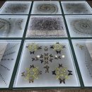 성신여자대학교 자연사박물관 이미지