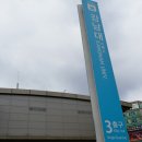 구갈레스피아 게이트볼장 | 용인 / 기흥 / 구갈레스피아 / 벚꽃