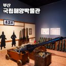영도의 자연과 함께 일상에서의 ’탈피’ | 부산 여행 국립해양박물관 영도 실내 가볼만한곳 볼거리 데이트 코스