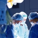 나비덴탈 이미지