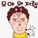 모야 이미지
