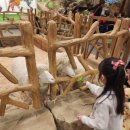 키즈랜드 | 거위 탈출에 엄마 멘붕 - 시흥 쥬뗌므 키즈랜드 후기