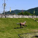 청도읍성 민속촌 이미지