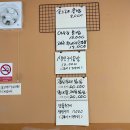 콩이랑 곤드레 이미지